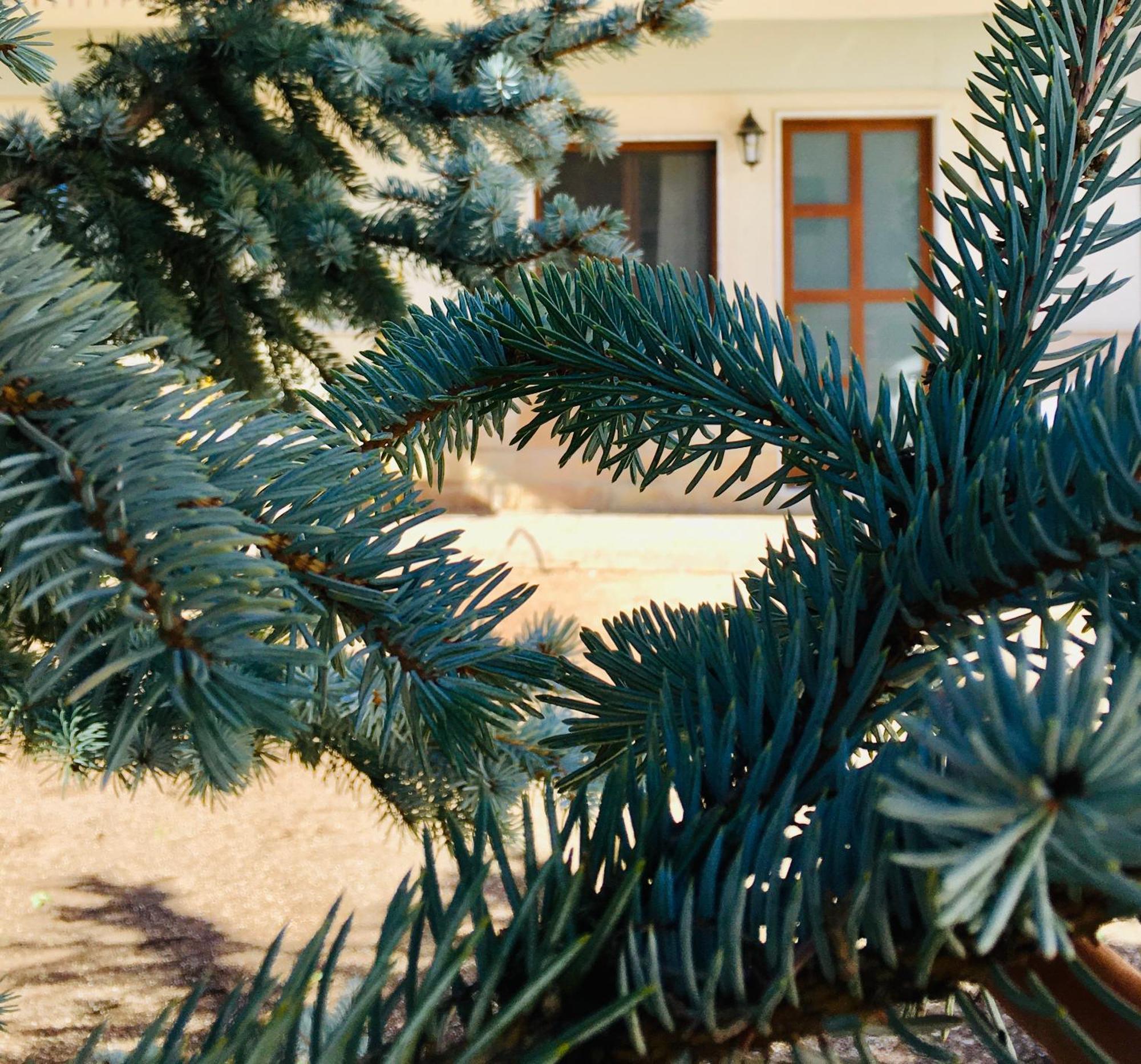 Villa Andalu Appartamenti San Giovanni Rotondo Dış mekan fotoğraf